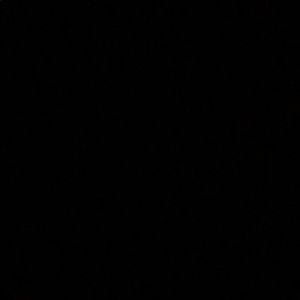 Meet your Posher, Mina